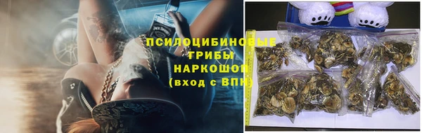 spice Баксан
