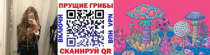 Псилоцибиновые грибы Cubensis  купить закладку  Барабинск 